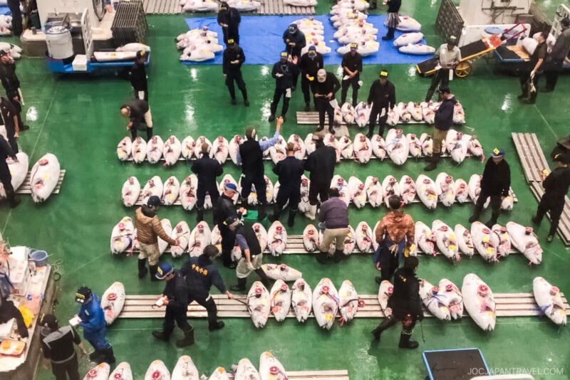 A busy Tokyo fish market scene shows many people inspecting, tagging, and auctioning large tuna fish laid out in neat rows on a green floor. The area at the Toyosu Market is crowded and bustling with wholesale seafood activity.