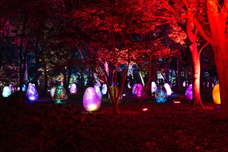 A nighttime forest scene at teamLab Botanical Garden Osaka is illuminated by colorful, glowing egg-shaped sculptures. The trees are bathed in red and purple light, creating a magical, surreal atmosphere among the foliage.