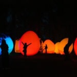 Exploring teamLab Botanical Garden Osaka Silhouettes of people stand among large, glowing, egg-shaped light installations in vibrant colors at night in a dark outdoor setting at teamLab Botanical Garden Osaka.