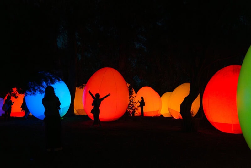 Silhouettes of people stand among large, glowing, egg-shaped light installations in vibrant colors at night in a dark outdoor setting at teamLab Botanical Garden Osaka.