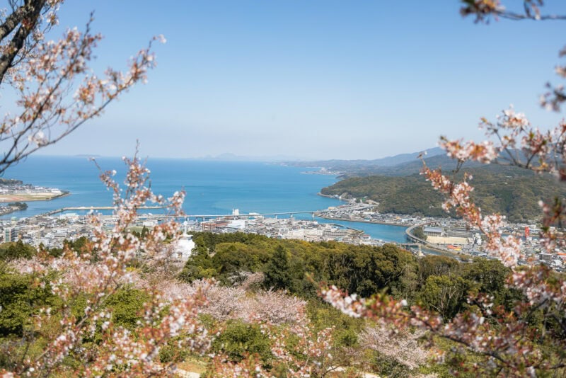 Cherry blossom trees frame a panoramic view of the Amakusa Islands, with blue ocean water, hills, and a long bridge under a clear sky—one of the region’s must-visit spots for unforgettable sights and things to do.