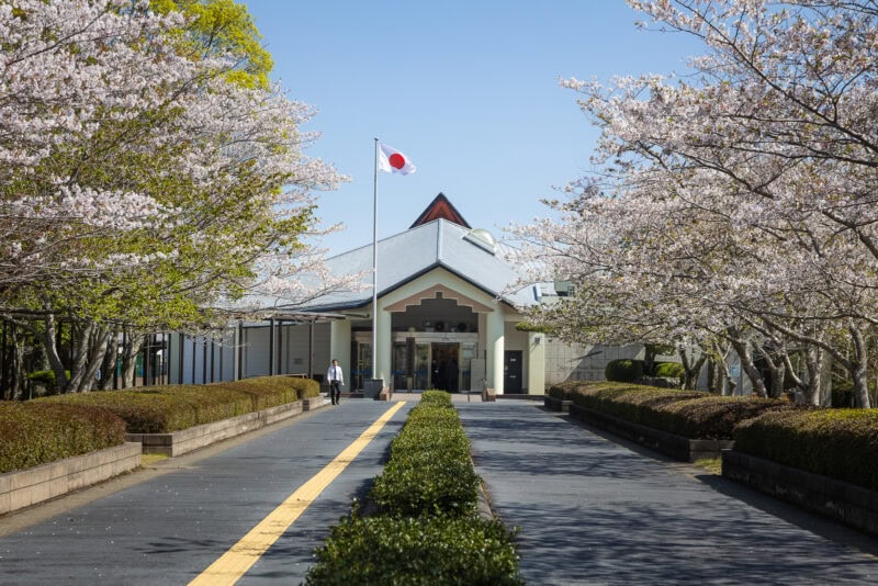 A building with a Japanese flag at the entrance is surrounded by blooming cherry blossom trees under a clear blue sky. Two people walk along a path lined with greenery towards the Chiran Peace Museum, which preserves Japan Wartime History.
