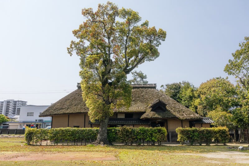 A traditional Japanese house with a thatched roof stands behind a large tree and neatly trimmed hedge in Hita, often called the "Little Kyoto" of Oita, with modern buildings visible in the background under a clear sky.