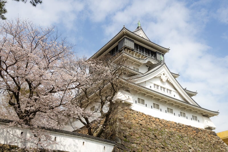 Traditional Japanese Kokura Castle with white walls and a tiled roof, surrounded by blooming cherry blossom trees, showcases Kitakyushu’s rich Samurai Heritage beneath a partly cloudy blue sky.
