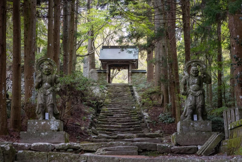 Stone steps lead through a forested area on the Kunisaki Peninsula toward a traditional Japanese gate, flanked by guardian statues, surrounded by tall trees and lush greenery in this sacred region of Oita.