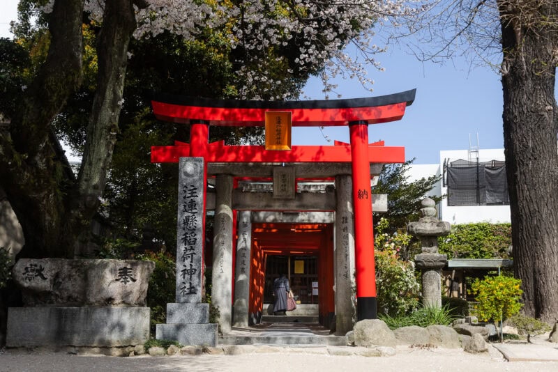 A person walks through a bright red torii gate at Kushida Shrine in Fukuoka, the oldest shrine in the city, surrounded by stone lanterns, trees, and blooming cherry blossoms under a clear sky.