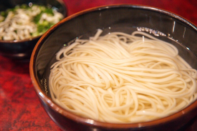 A bowl of plain udon noodles in clear broth sits on a red surface, with a smaller bowl of chopped green onions and other toppings nearby—one of Miyazaki’s must-try dishes for those wondering what to eat in the region.