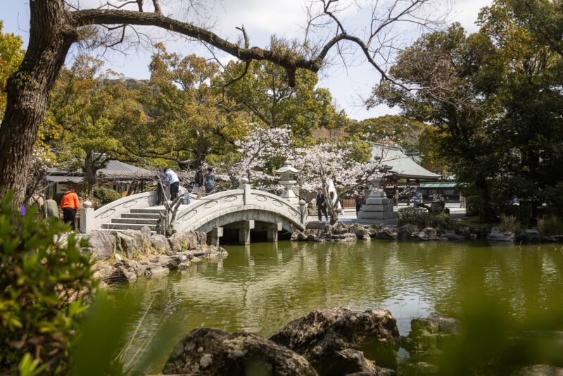 A serene Japanese garden near Munakata Shrine, one of Japan's oldest shrines, features a stone bridge over a pond, surrounded by trees, blooming cherry blossoms, and several people enjoying the peaceful scenery.
