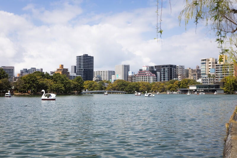 A calm city lake at Ohori Park in Fukuoka with swan-shaped pedal boats floating on the water, surrounded by trees and modern buildings&mdash;an urban oasis beneath a partly cloudy sky.