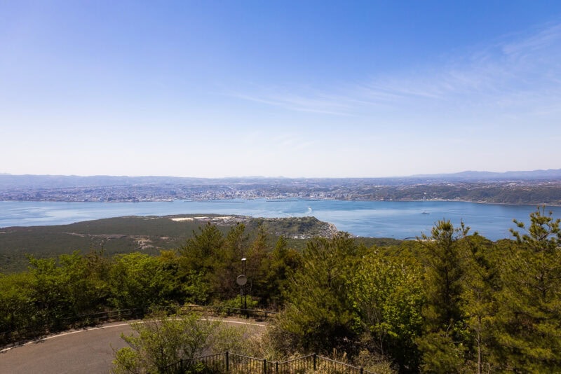 View from a hillside overlooking Kagoshima Bay with lush green trees in the foreground, a winding road, and the cityscape across blue water—Sakurajima volcano rising majestically under a clear, sunny sky.