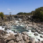 Sogi Falls: Japan's Niagara Falls A rocky river with fast-flowing water and small waterfalls, reminiscent of Japan's Sogi Falls, flows between boulders and trees under a clear blue sky on a sunny day.