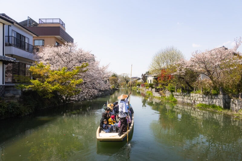 A small group of people ride a wooden boat along the calm Yanagawa Canals, known as the Venice of Kyushu, bordered by cherry blossom trees and traditional Japanese houses under a clear blue sky.