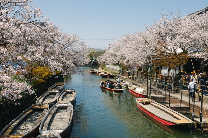Traditional wooden boats float on a narrow canal lined with cherry blossom trees in full bloom, with people enjoying a scenic ride under a clear blue sky. Pedestrians walk along the waterside path.