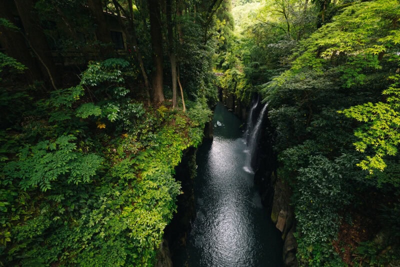 A lush, green forest surrounds a narrow gorge with tall cliffs and waterfalls flowing into a calm, dark river below, creating a serene and vibrant natural landscape.