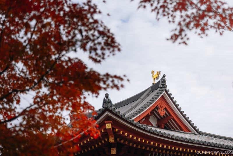 A traditional Japanese temple roof with ornate details, framed by vibrant red autumn leaves, under a partly cloudy sky, evokes the serene beauty of Kyoto’s iconic Byodoin Temple in Uji.
