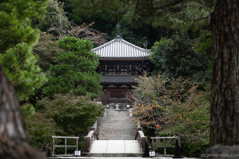 A traditional Japanese temple gate with a tiled roof stands at the top of stone steps, surrounded by lush green trees and foliage, with a wooden bridge in the foreground. This serene scene evokes the tranquil beauty of Kyoto’s Chionin temple.
