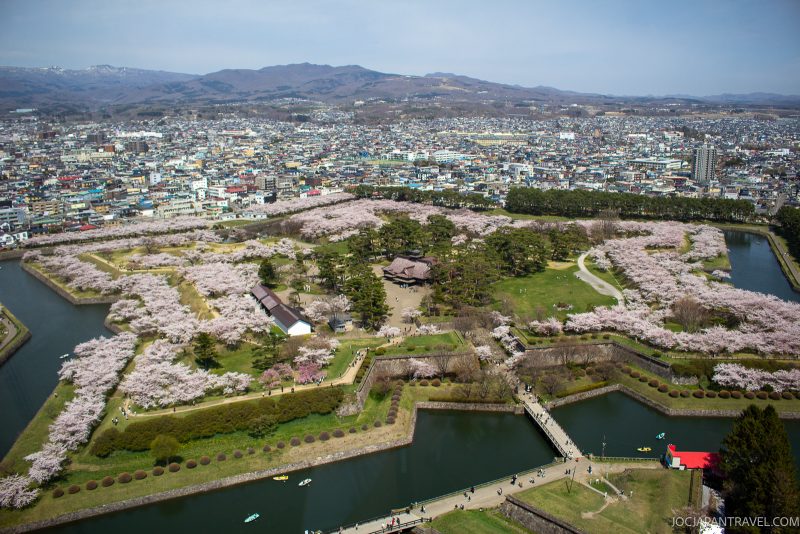 Aerial view of Goryokaku Park in Hakodate, Japan, featuring cherry blossom trees, a star-shaped moat, and cityscape with mountains in the background.