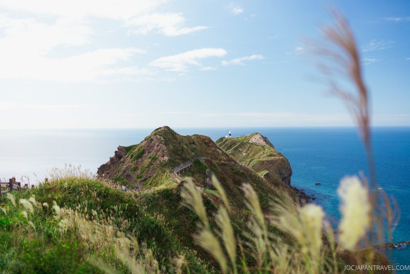 A grassy cliff with a winding path leads to a white lighthouse overlooking the blue ocean, framed by tall grass under a bright, partly cloudy sky.