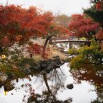Higashiyama District - A Walk Through Historic Kyoto A serene Japanese garden in autumn, nestled in the heart of Kyoto’s historic Higashiyama District, with vibrant red and orange foliage, a calm pond reflecting trees, rocks, and a curved wooden bridge in the background.